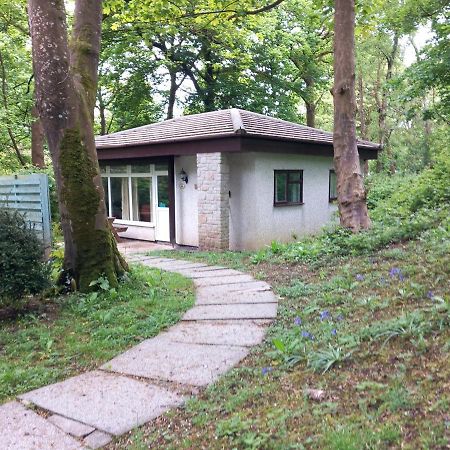 Woodland Retreat Villa Uny Lelant Eksteriør billede
