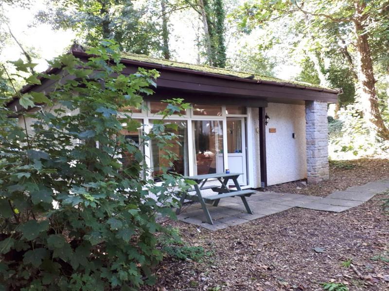 Woodland Retreat Villa Uny Lelant Eksteriør billede
