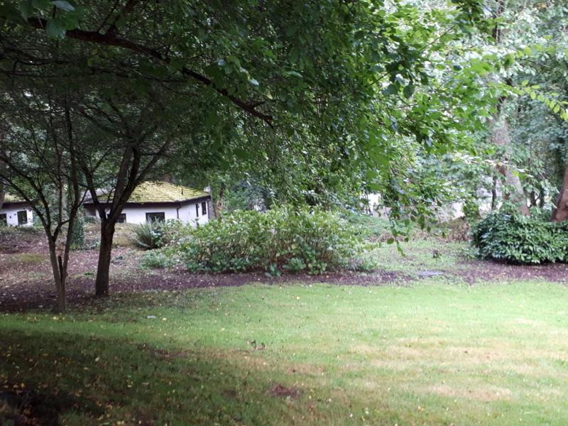 Woodland Retreat Villa Uny Lelant Eksteriør billede