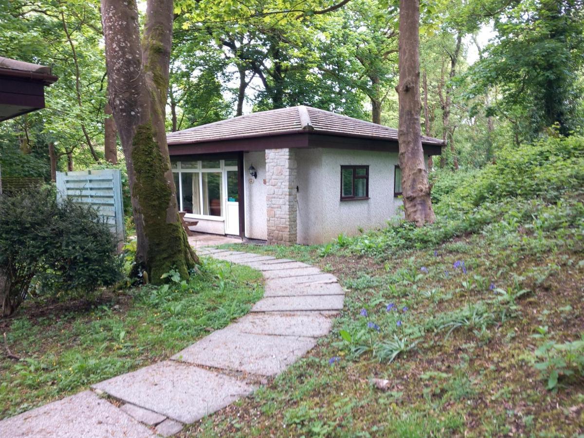 Woodland Retreat Villa Uny Lelant Eksteriør billede